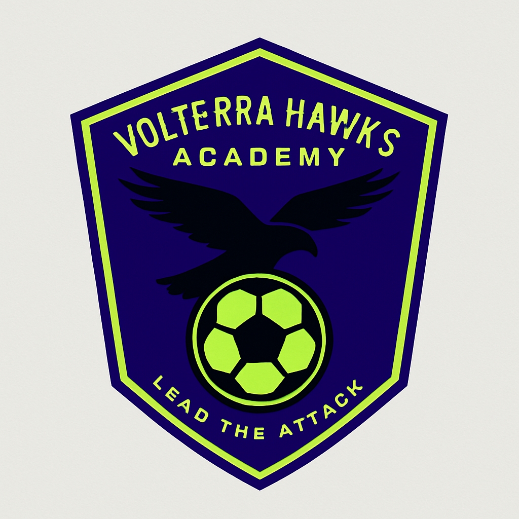 Bold Modern Volterra Hawks Academy Sports Logo Design