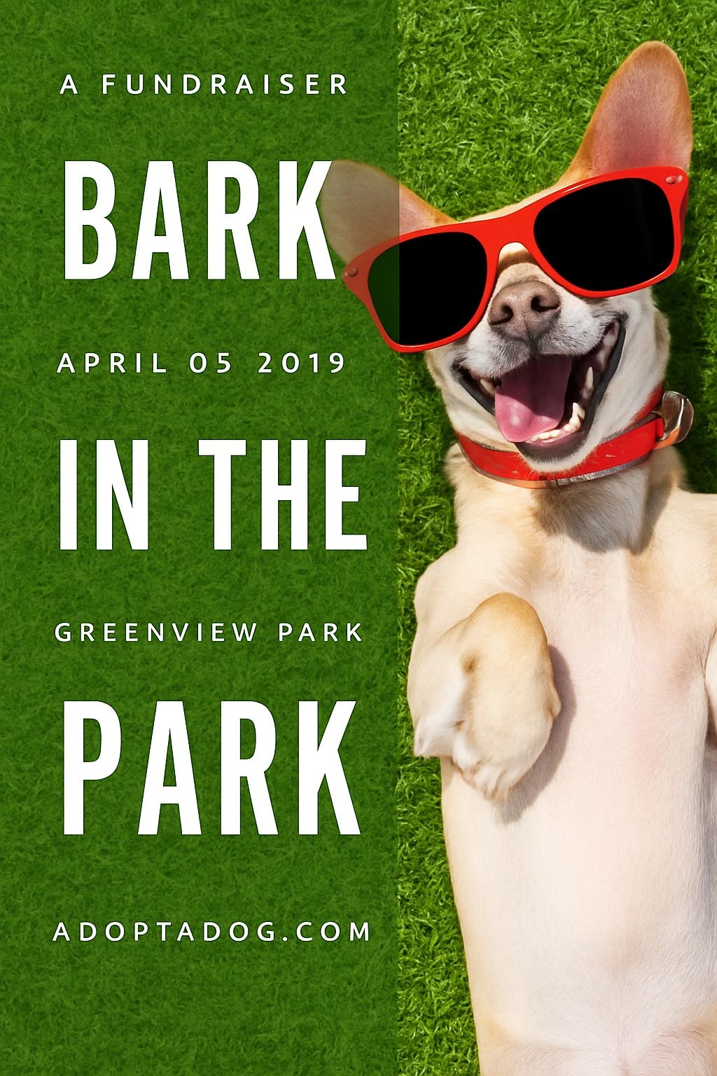 Cheerful Dog Fundraiser Event Poster for Bark in the Park Flyer
