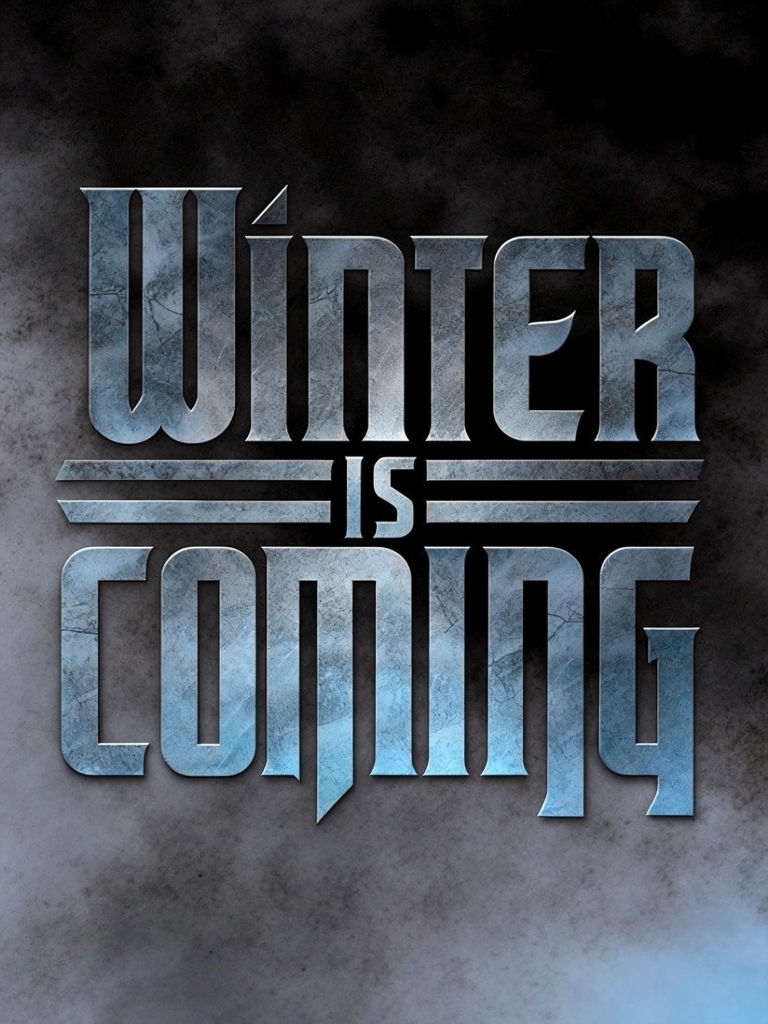 Metallic Winter is Coming Typography Art for Modern Decor Poster