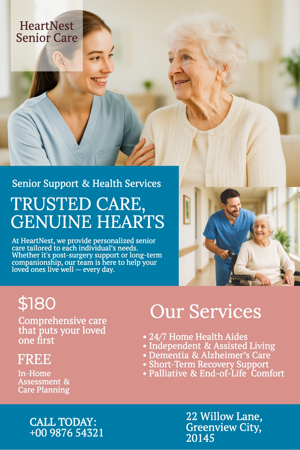 HeartNest Senior Care Informative Flyer for Elderly Support Services