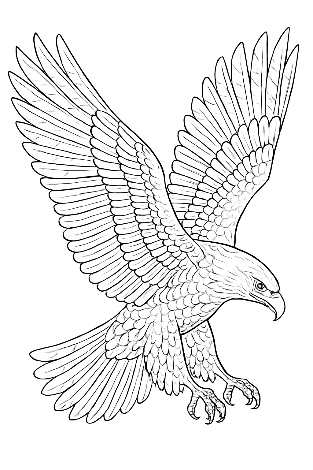 Detailed Line Drawing of Majestic Eagle in Flight Coloring Book Page