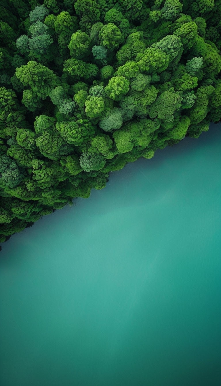 Vivid Forest and Turquoise Water Aerial Photography Phone Case Cover