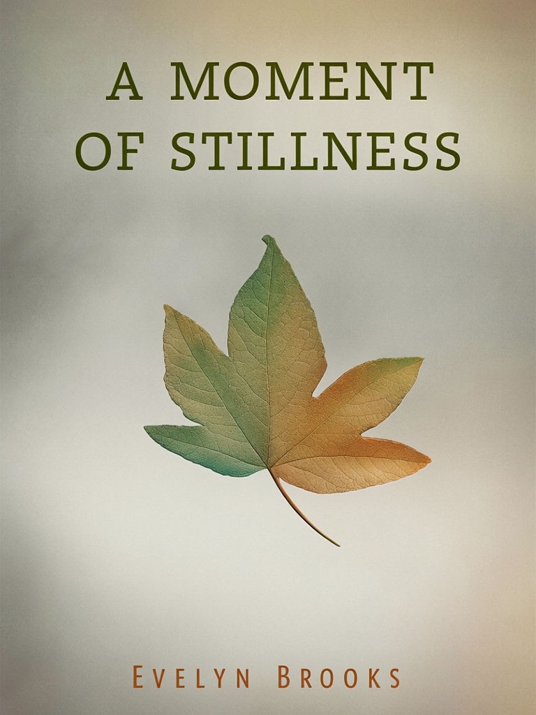 A Moment of Stillness Elegant Leaf Design EBook Cover