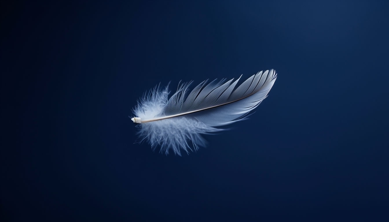 Delicate White Feather on Deep Indigo Minimalist Virtual Background