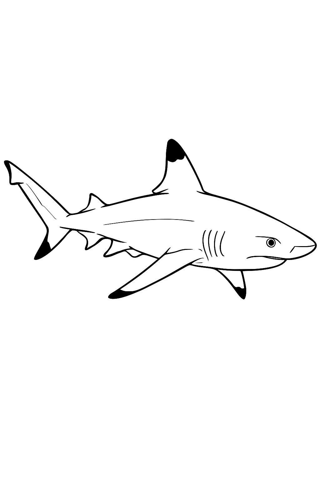 Black and White Aquatic Shark Line Drawing Coloring Page
