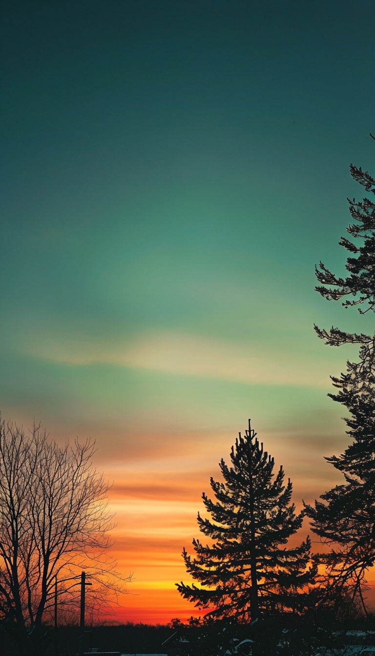 Serene Sunset Gradient Sky with Silhouetted Trees Mobile Wallpaper