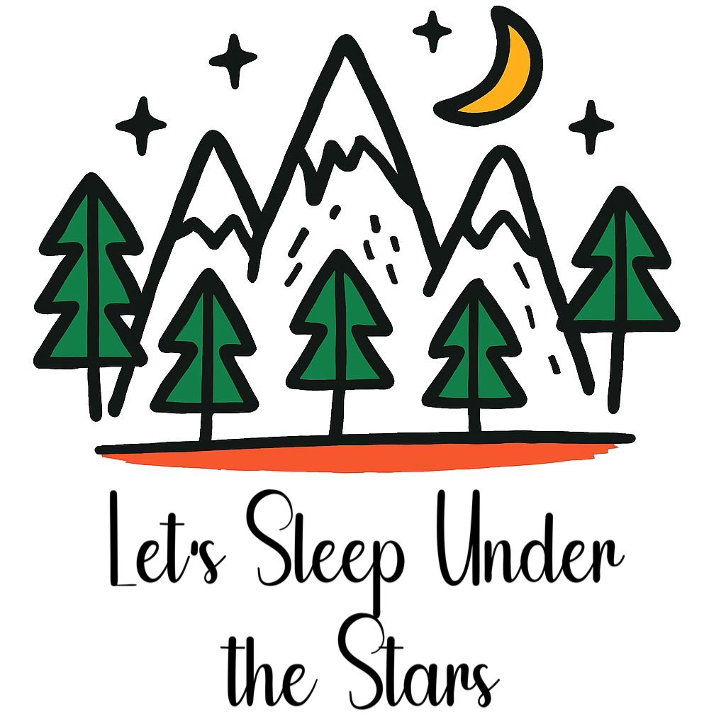 Minimalist Mountain and Moon Design Let's Sleep Under the Stars Mug