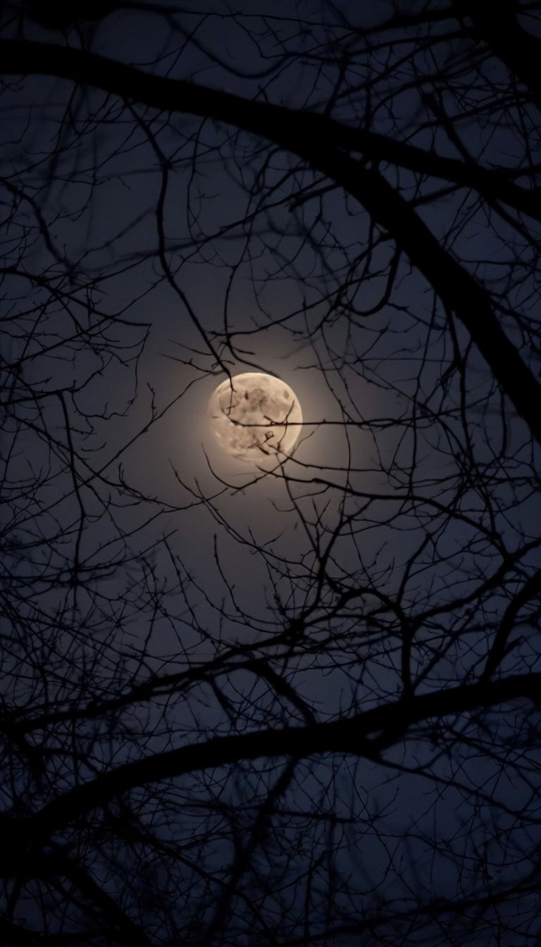 Serene Night Moonlight with Tree Branch Silhouette Mobile Wallpaper
