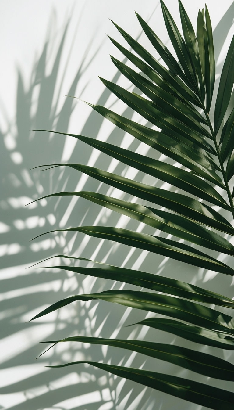 Close-Up Palm Fronds Against White Background Mobile Wallpaper