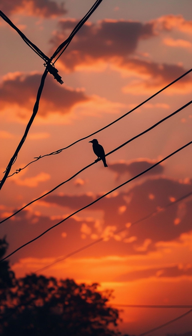 Serene Sunset with Bird Silhouette on Power Lines Mobile Wallpaper