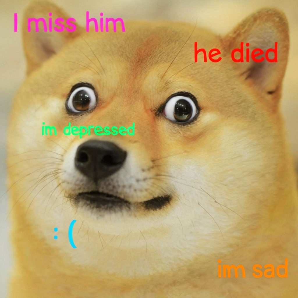 Surprised Doge Shiba Inu Meme with Colorful Text Elements Memes