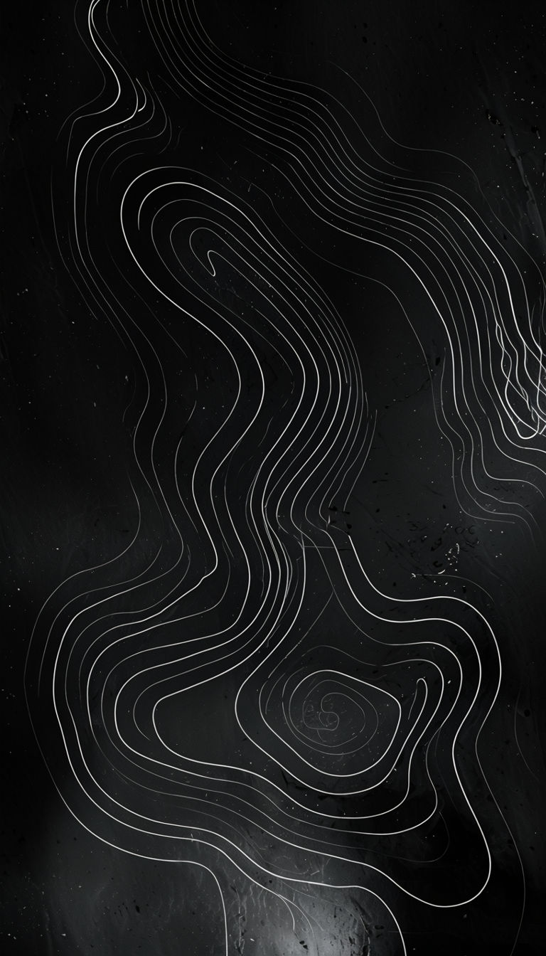 Abstract White Contour Lines on Black Background Art