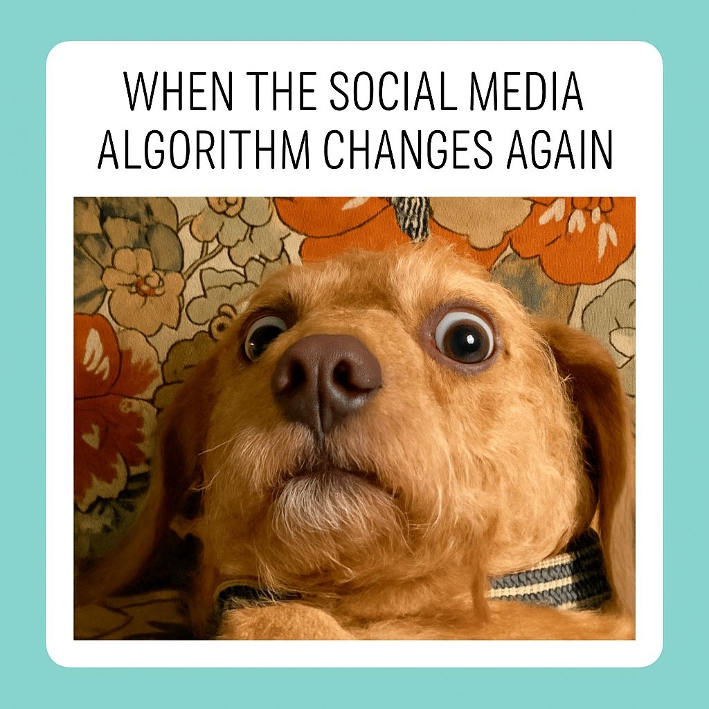 Surprised Dog Faces Social Media Algorithm Changes Meme