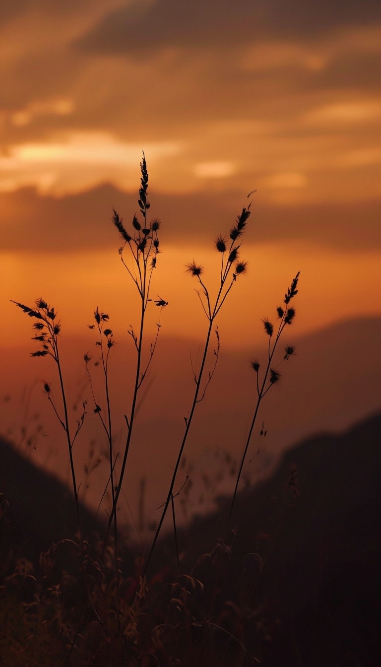 Serene Sunset with Silhouetted Grasses and Warm Hues Mobile Wallpaper