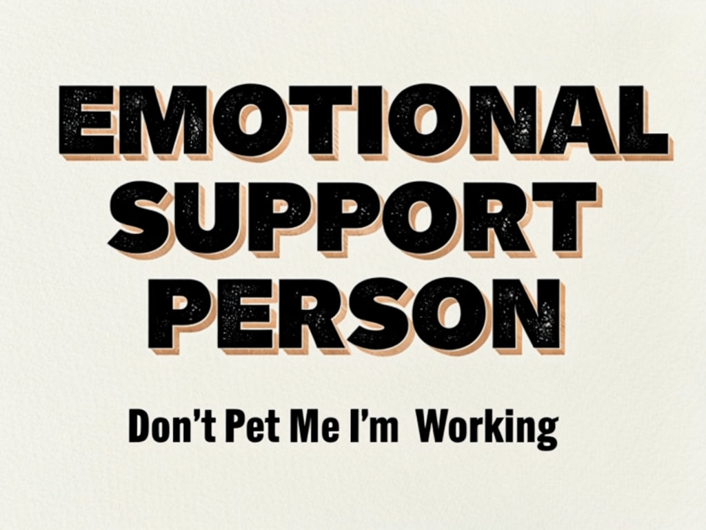 Emotional Support Person Funny Quote T-Shirt