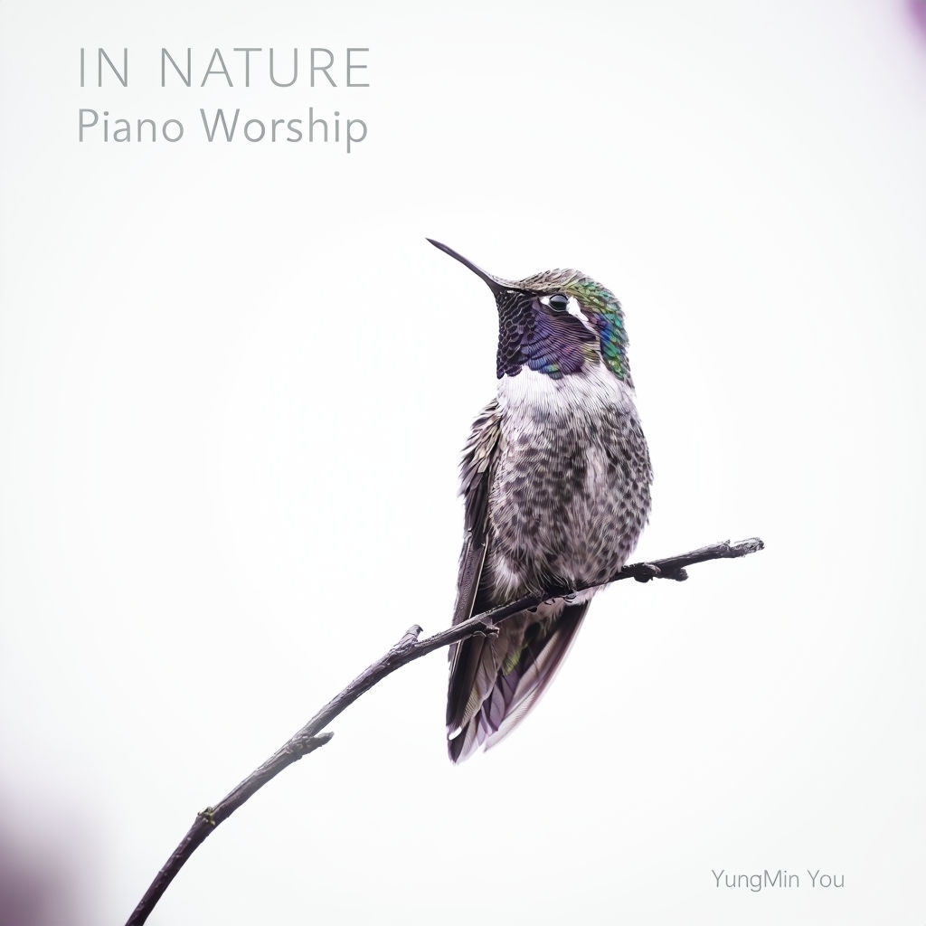 Minimalist Hummingbird Design for In Nature Piano Worship Album Cover