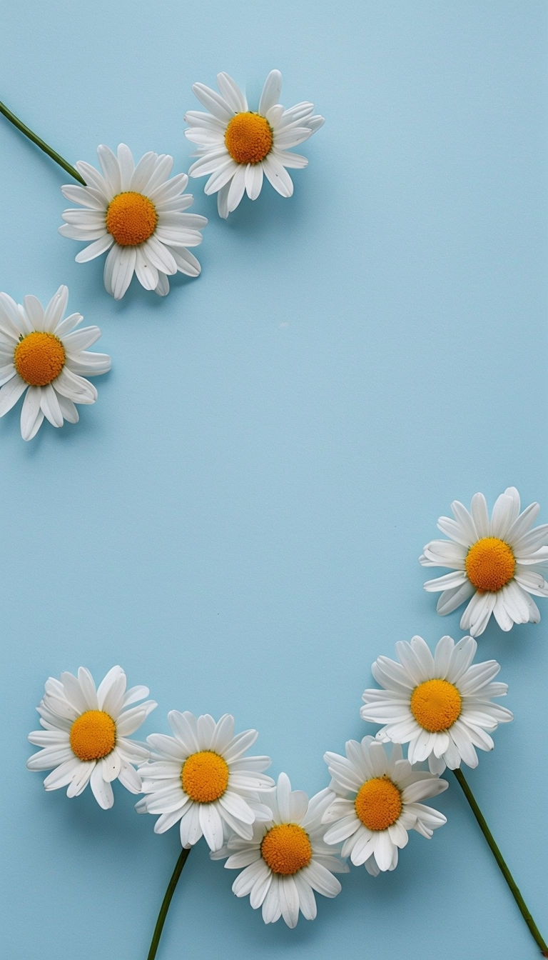 Minimalist Daisies on Light Blue Background Aesthetic Poster