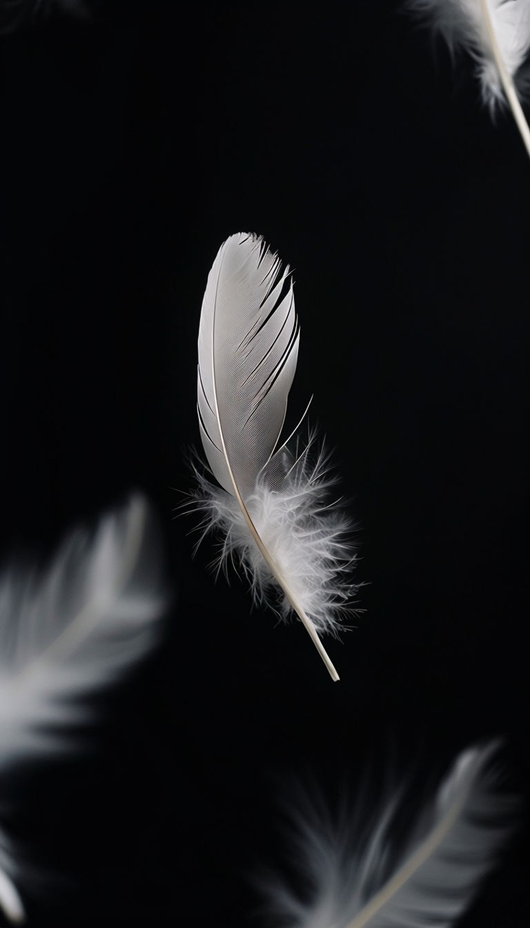Elegant White Feather Minimalist Photography Mobile Wallpaper