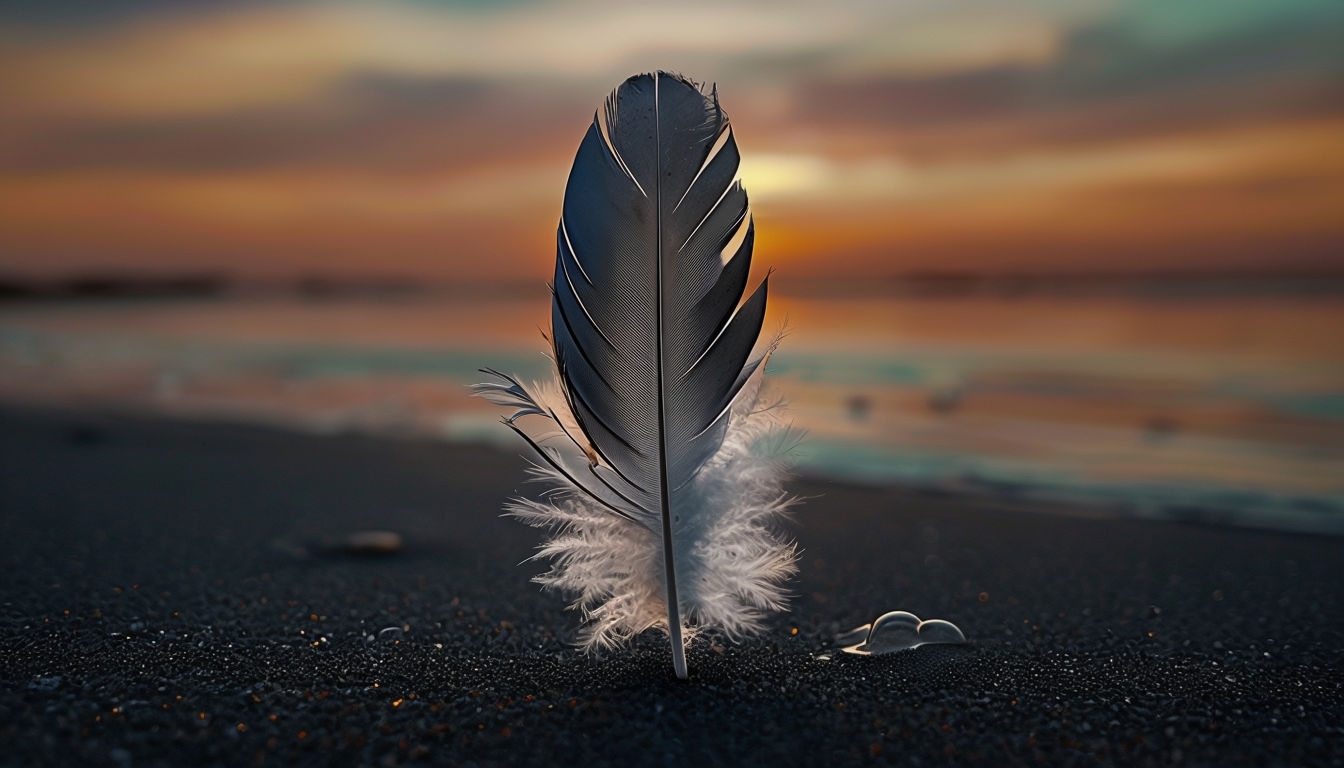 Elegant Feather on Sandy Beach at Sunset Virtual Background