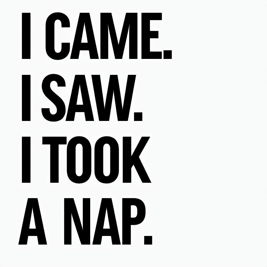 I Came I Saw I Took A Nap Minimalist Mug Design