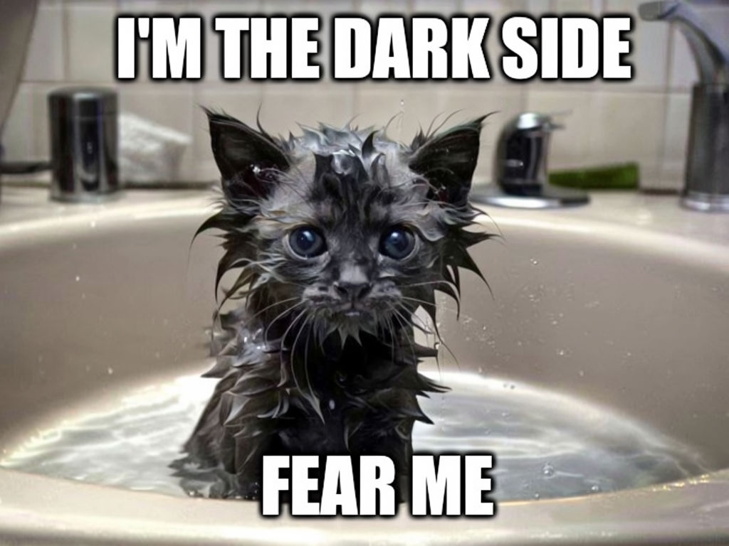 Humorous Black Kitten in Sink Meme with Dark Side Vibes