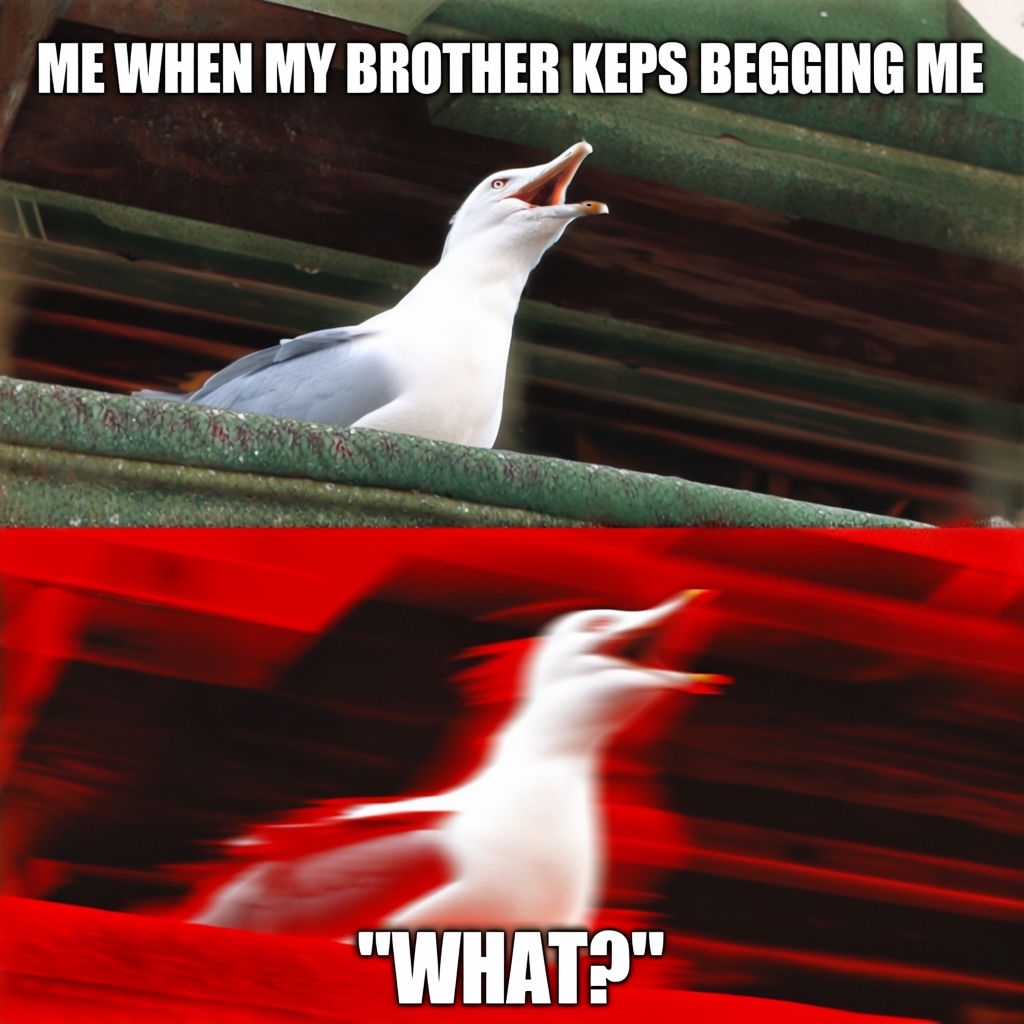 Humorous Seagull Meme Capturing Brotherly Exasperation Meme