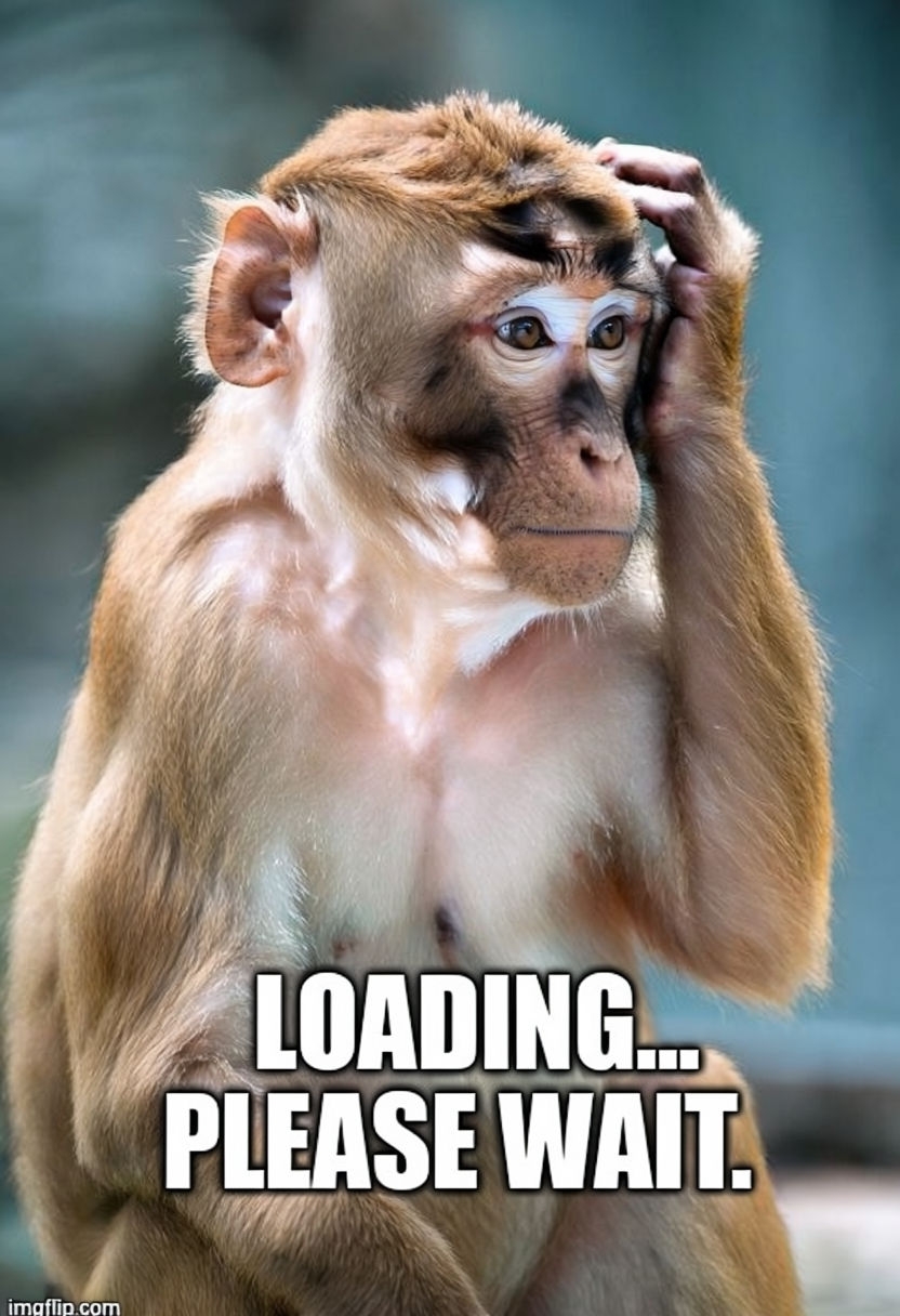 Confused Monkey Meme with Funny Loading Text Overlay Sticker