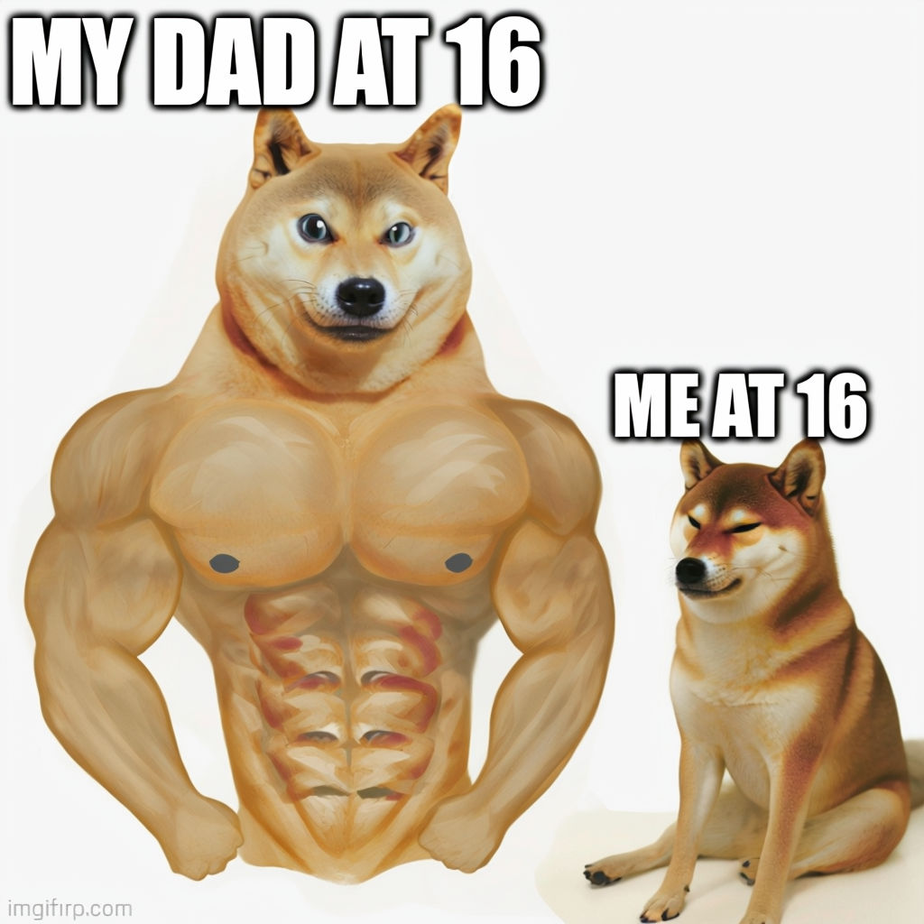 Hilarious Doge Meme: My Dad at 16 vs. Me at 16 Illustration Meme