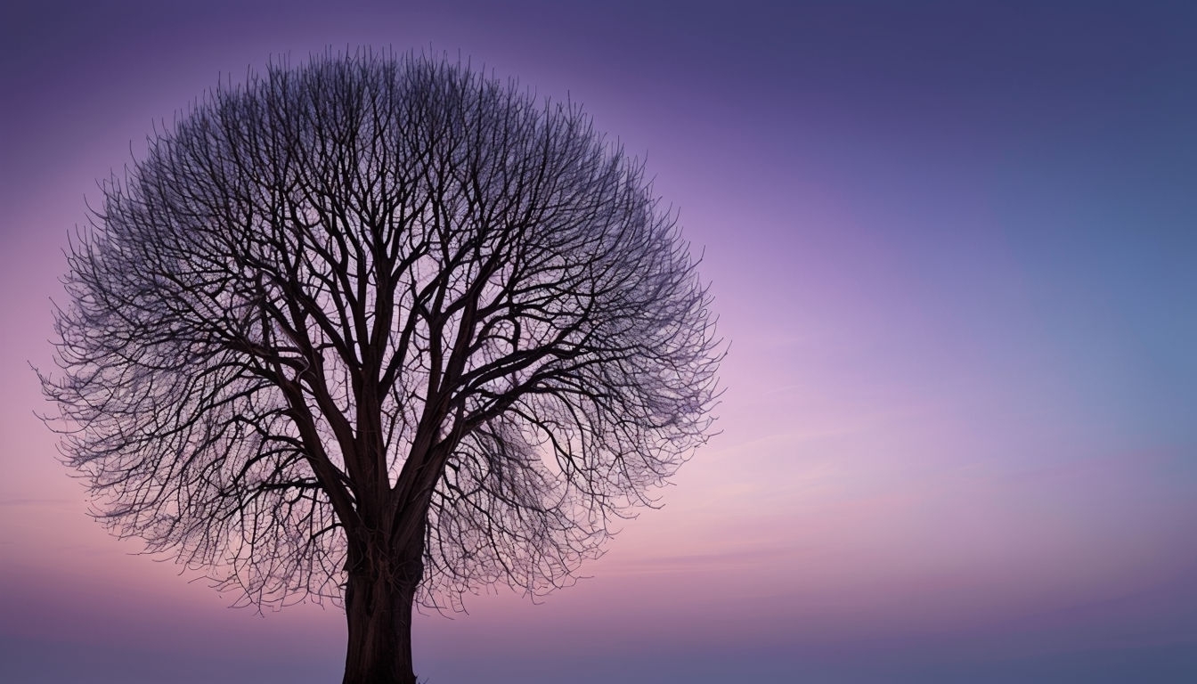 Serene Twilight Tree Silhouette Against Colorful Sky Background