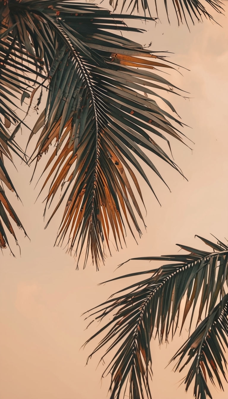 Serene Palm Fronds Against Peach Sky at Sunrise Mobile Wallpaper