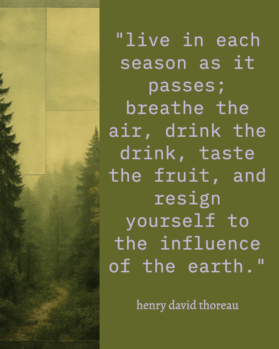 Serene Forest Scene with Inspiring Quote Text Panel Instagram Post