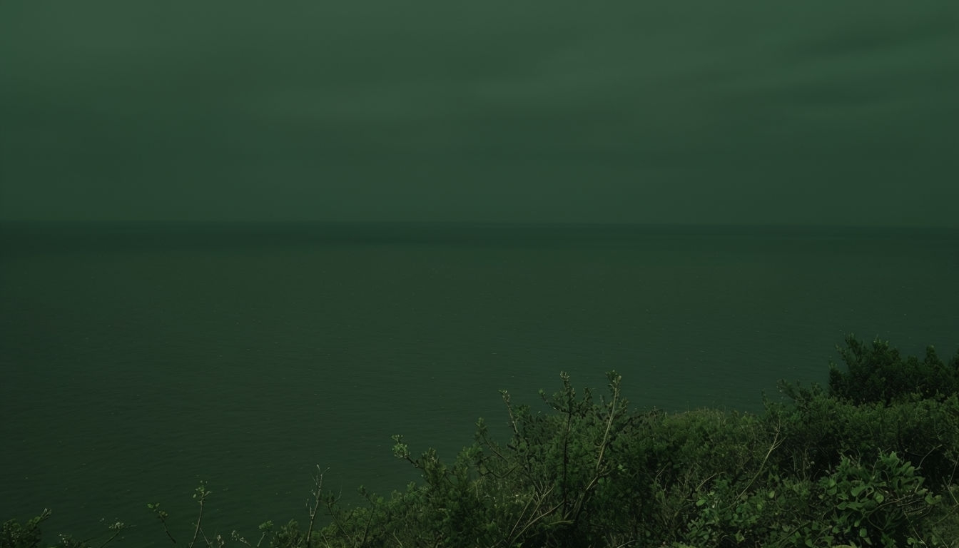 Tranquil Monochromatic Natural Landscape Virtual Background