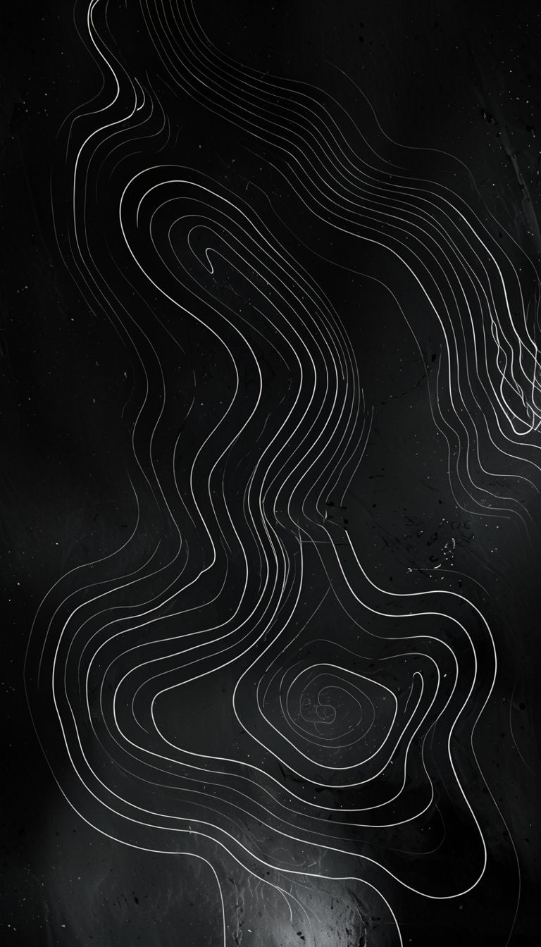 Abstract White Contour Lines on Black Background Art