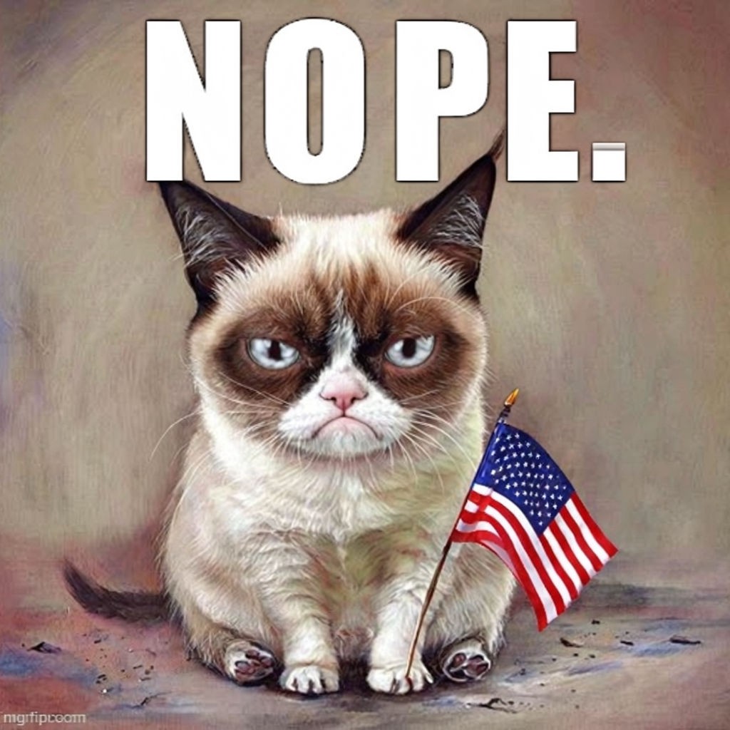 Grumpy Cat with Nope Text Caricature Meme for Cat Lovers