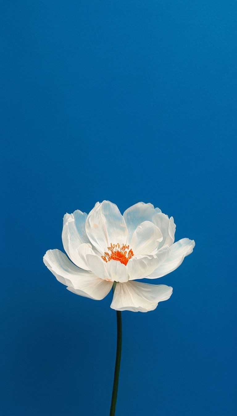 Minimalist White Flower with Orange Center on Vibrant Blue Background Art