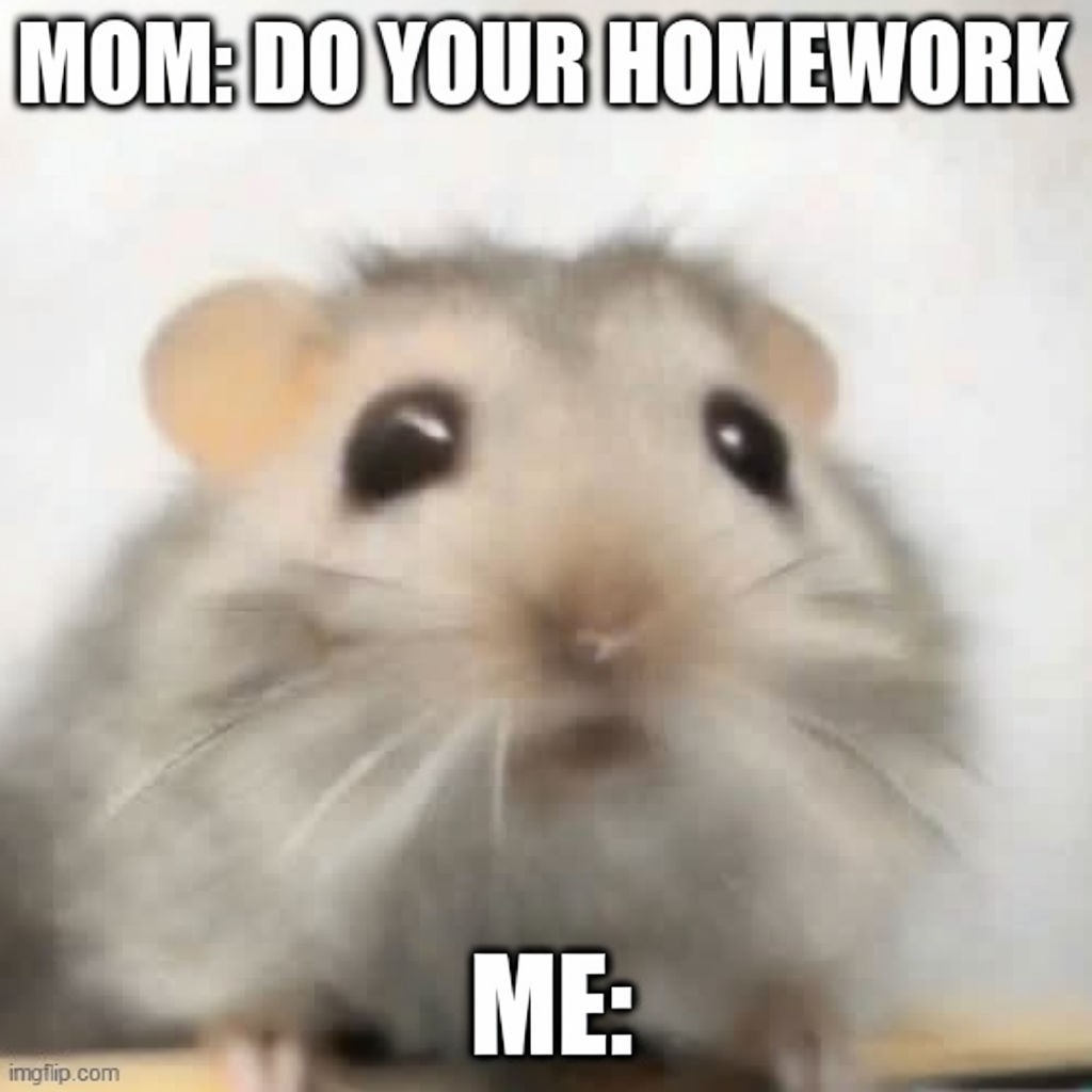 Humorous Light Gray Hamster Meme with Overwhelmed Expression