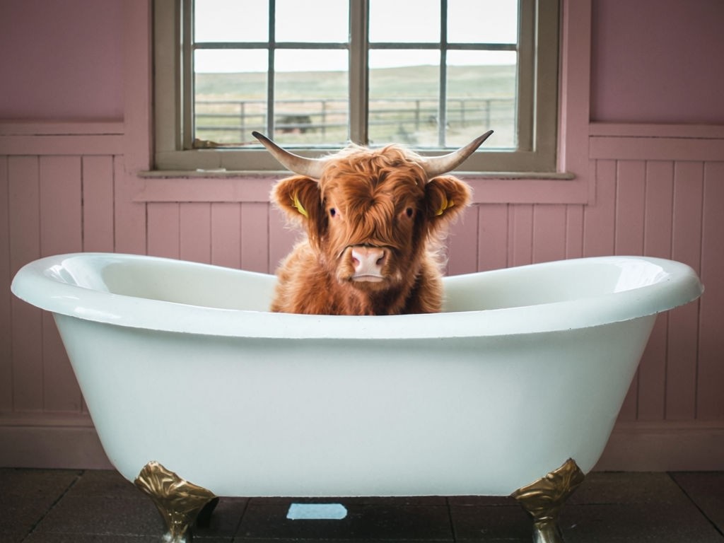 Cute Highland Cow in a Porcelain Tub with Pastel Accents Poster