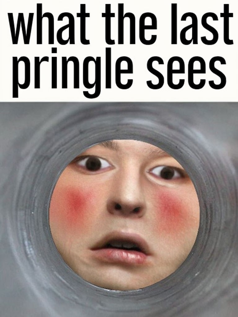 What the Last Pringle Sees Funny Meme Digital Art - Playground