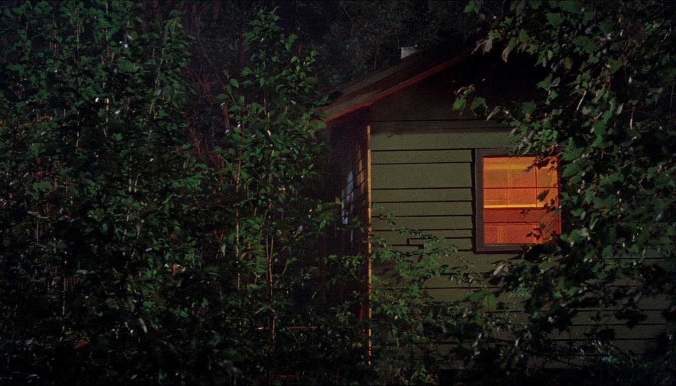 Eerie Nighttime Maine House Scene with Warm Glow Virtual Background