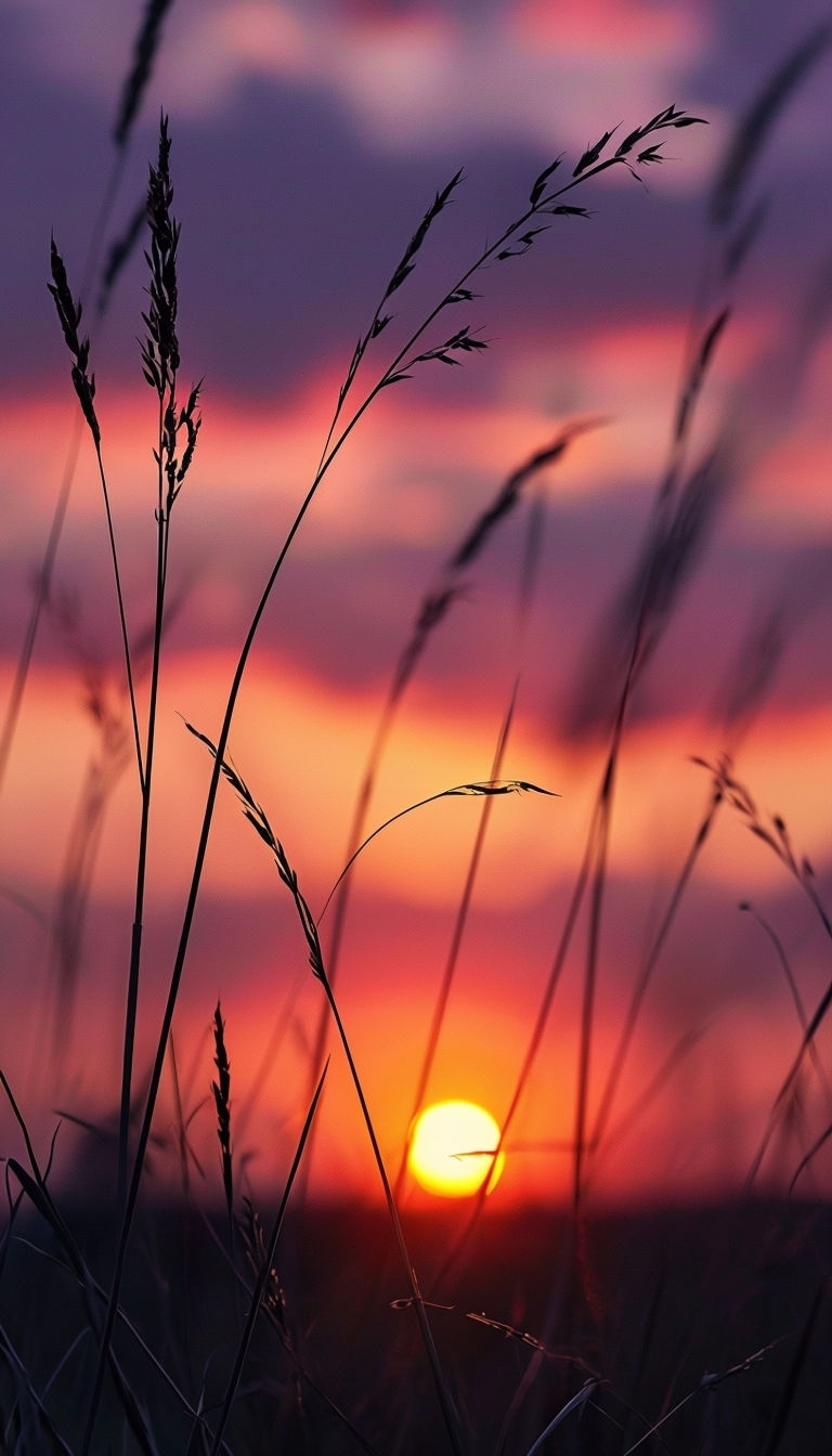 Serene Sunset Over Tall Grasses Silhouette Mobile Wallpaper