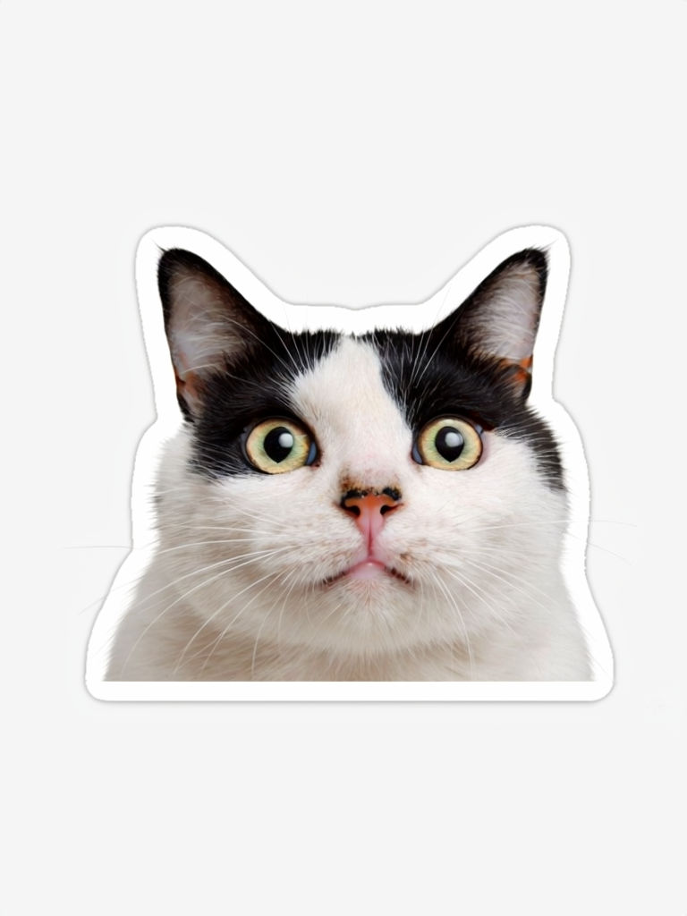 Playful Close-Up Cat Face Sticker